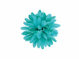 Цветок для велосипеда Electra Handlebar Flower Jade