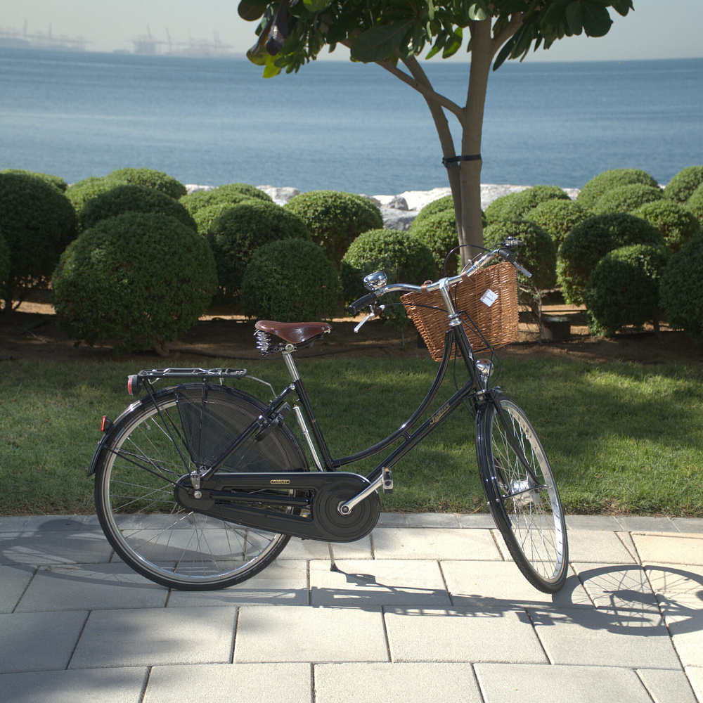 Велосипед Pashley Princess Sovereign 5 Black 20"